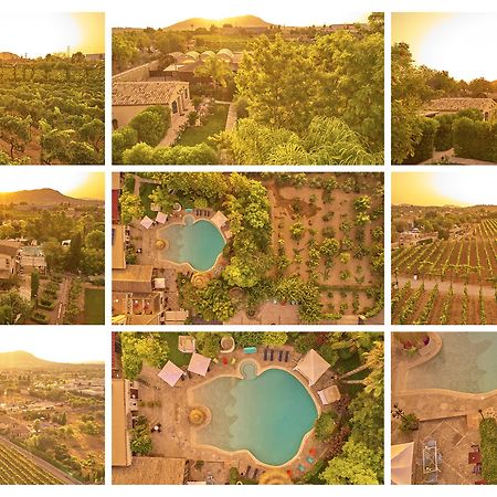 Agroturismo Sa Vinya Des Convent Inca (Mallorca) Exterior foto