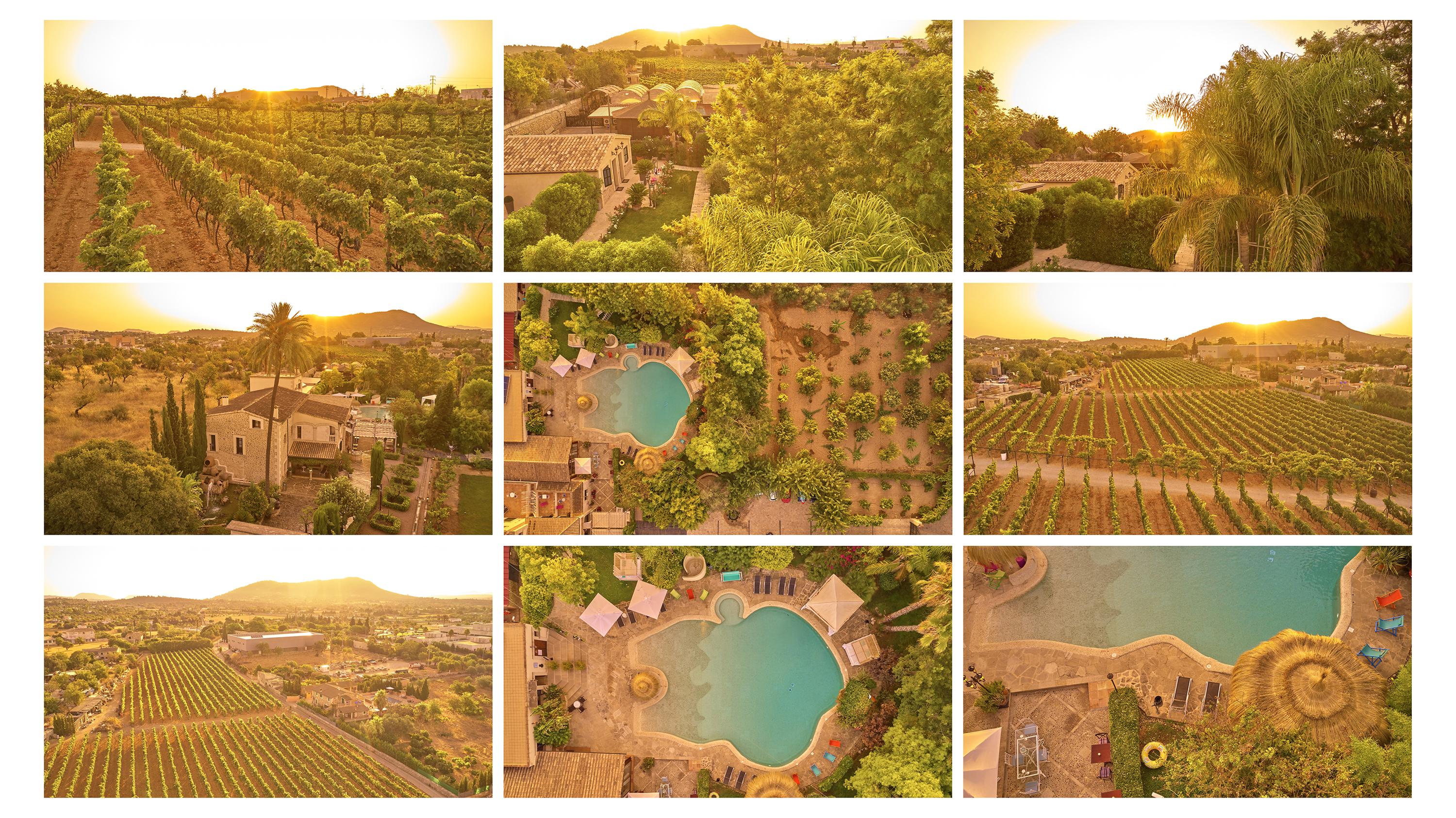 Agroturismo Sa Vinya Des Convent Inca (Mallorca) Exterior foto